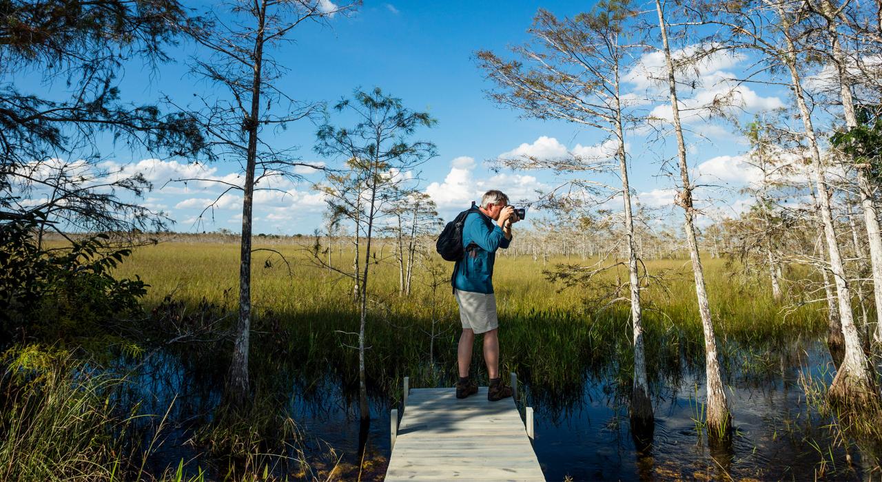 站在佛罗里达州大柏树国家保护区的木板路上拍照