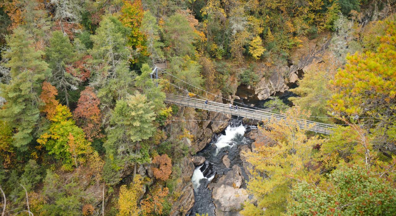 佐治亚州塔卢拉福尔斯：塔卢拉峡谷州立公园内的悬索桥