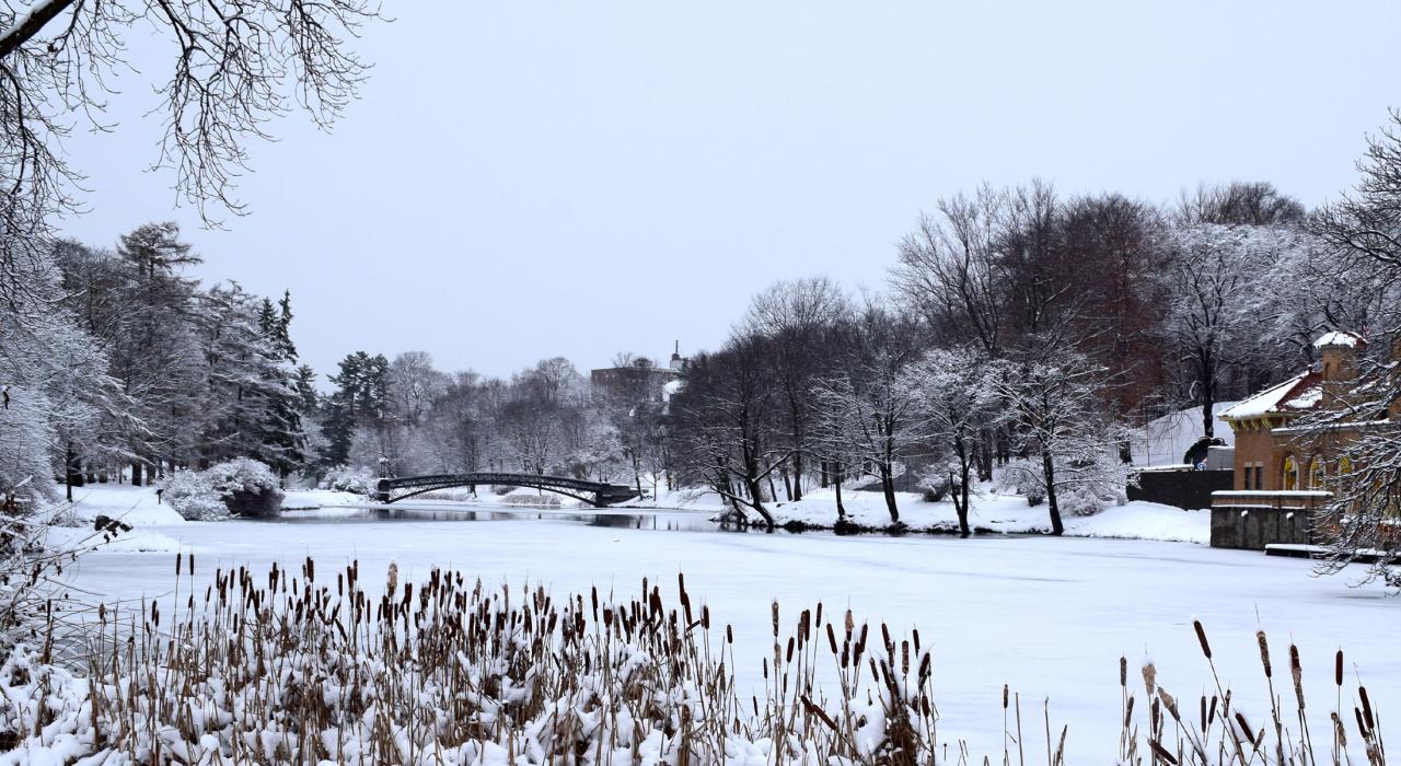 华盛顿公园白雪皑皑的宁静景致 华盛顿公园白雪皑皑的宁静景致
