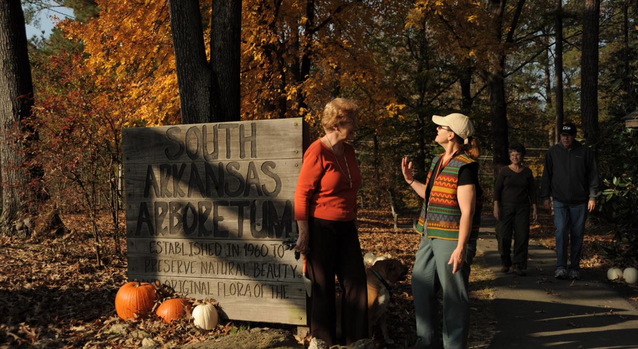 阿肯色州埃尔多拉多南阿肯色州植物园州立公园的秋日美景