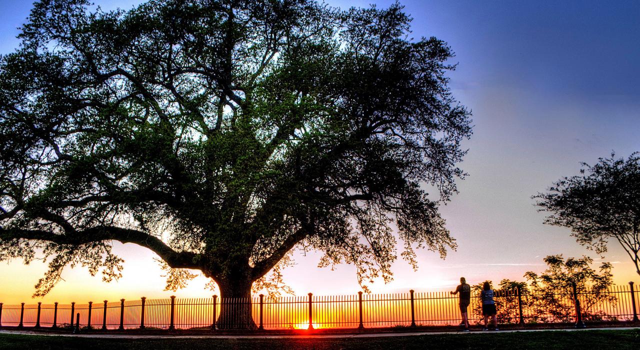 从密西西比州纳奇兹布拉夫公园欣赏到的密西西比河夕阳景色 从密西西比州纳奇兹布拉夫公园欣赏到的密西西比河夕阳景色