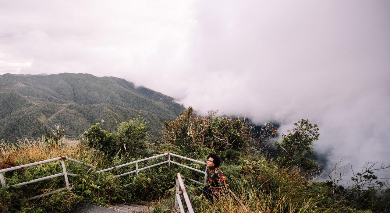 在波多黎各哈尤亚的托罗·内格罗州立森林内徒步徜徉