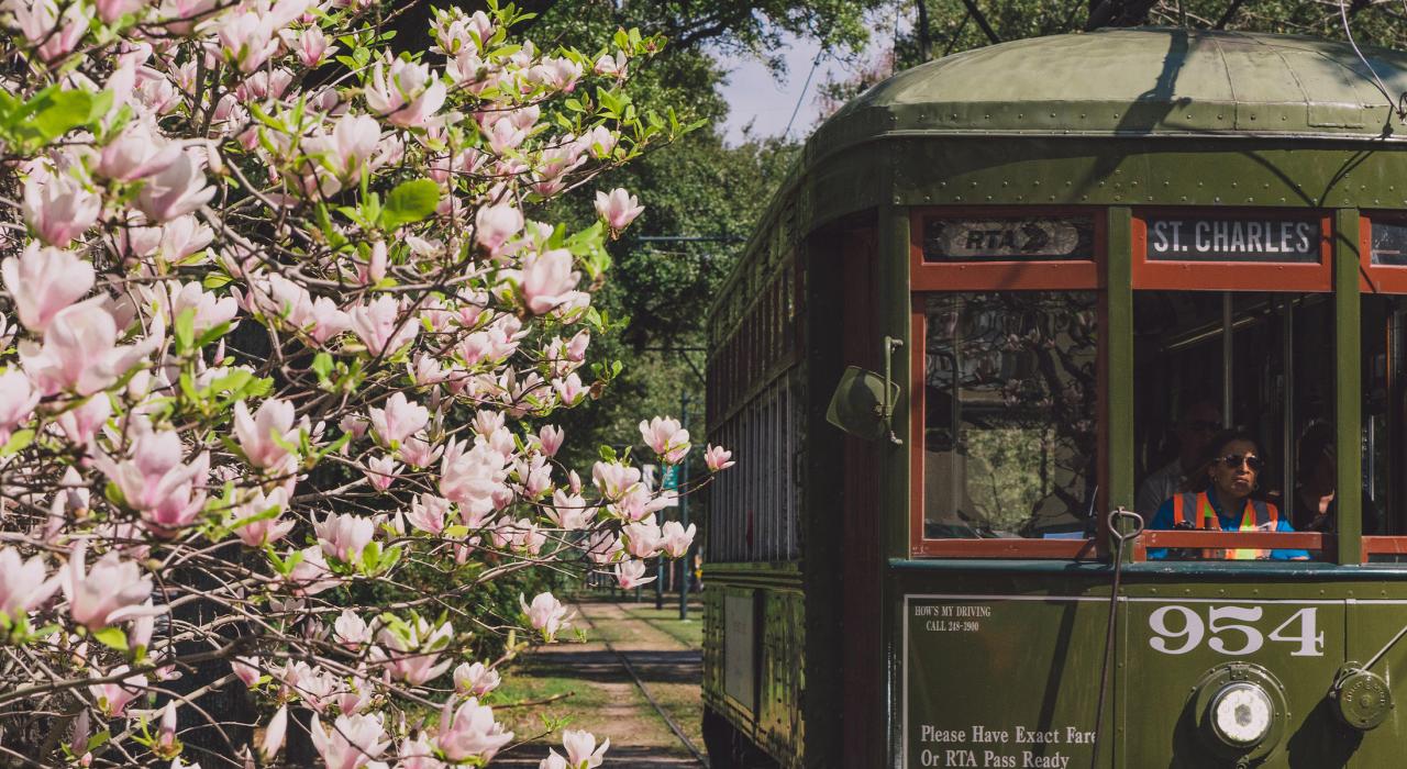 您还可选择查尔斯有轨电车享受春日时光 您还可选择查尔斯有轨电车享受春日时光