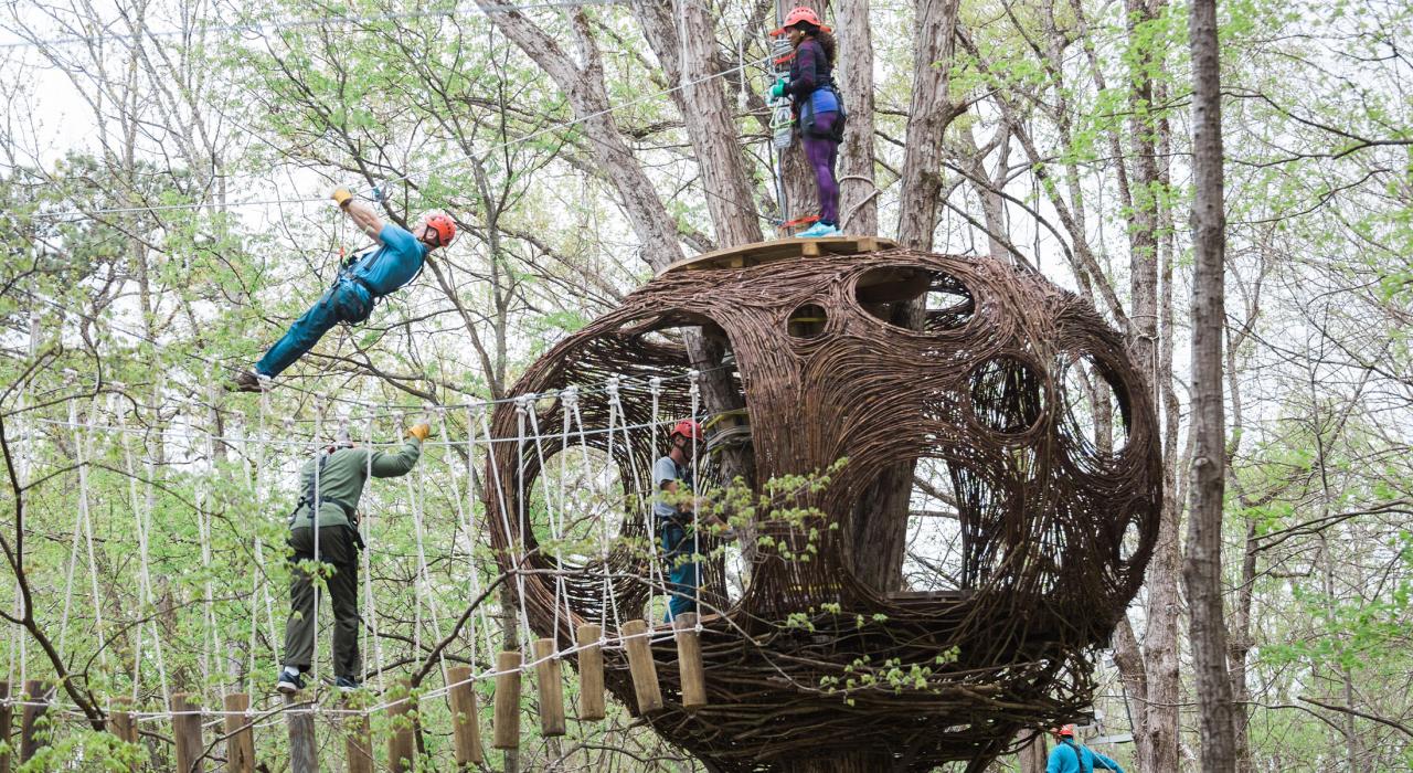 在 Navitat 的丛林之间体验空中冒险项目 在 Navitat 的丛林之间体验空中冒险项目