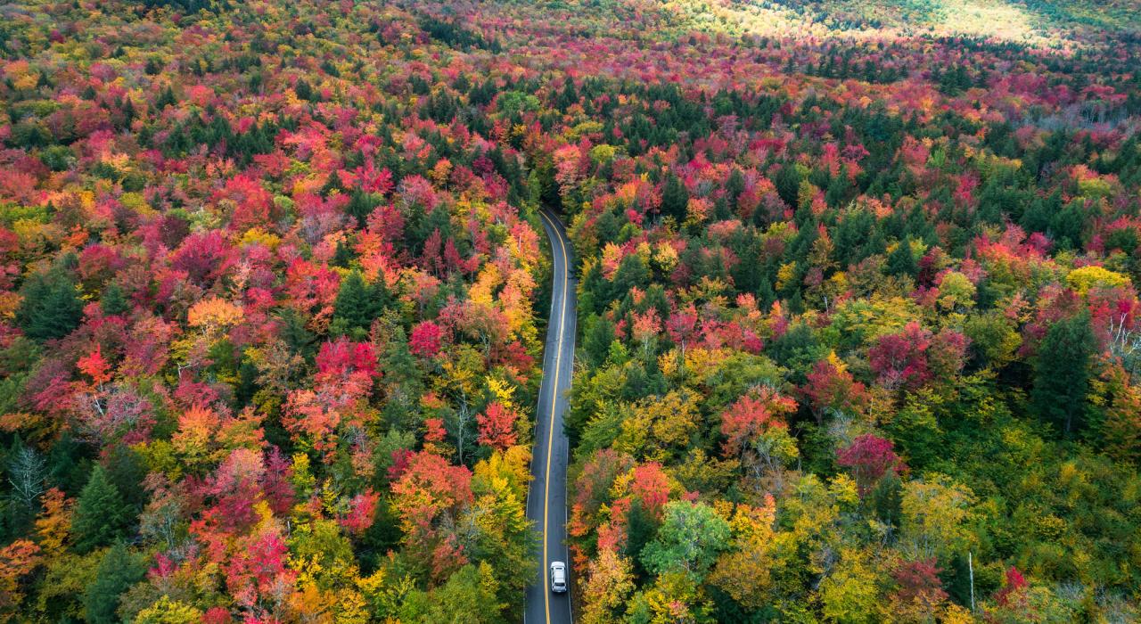 俯瞰新罕布什尔州白山的秋日美景 俯瞰新罕布什尔州白山的秋日美景