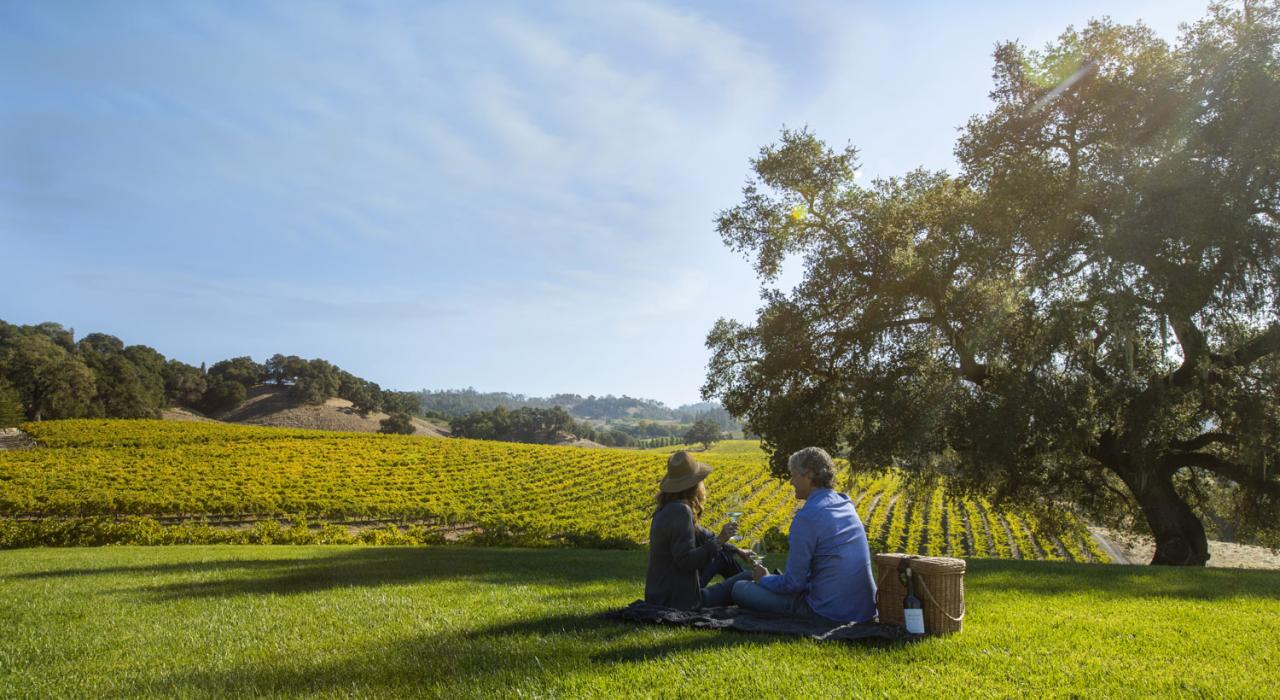一对情侣在加利福尼亚州索诺马县 Robert Young Scion House 边享用野餐,边欣赏葡萄园美景 一对情侣在加利福尼亚州索诺马县 Robert Young Scion House 边享用野餐,边欣赏葡萄园美景