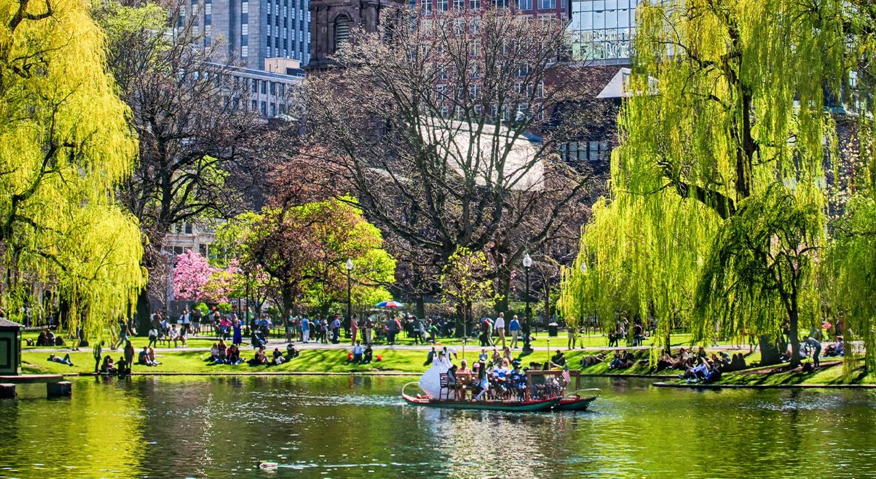 马萨诸塞州波士顿公共花园内的一艘天鹅游船 马萨诸塞州波士顿公共花园内的一艘天鹅游船