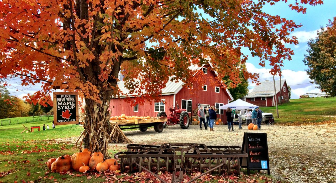 Soukup Farms 农场是第三代枫糖浆生产商，在此处可以享受美好的秋日午后时光