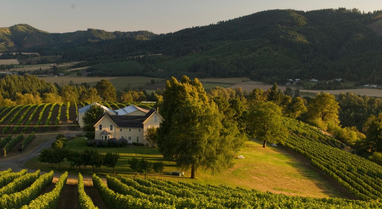 俄勒冈州福里斯特格罗夫镇的戴维山葡萄园和酒庄 俄勒冈州福里斯特格罗夫镇的戴维山葡萄园和酒庄