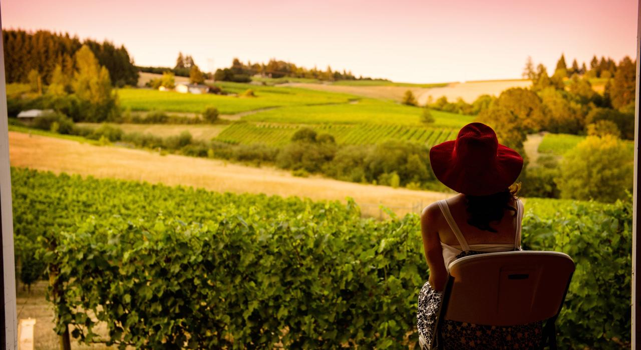 在俄勒冈州代顿市 Sokol Blosser Winery 酒庄饱览葡萄园美景 在俄勒冈州代顿市 Sokol Blosser Winery 酒庄饱览葡萄园美景