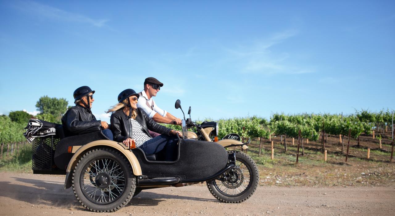 乘私家车游览当地酒庄，体验时尚之旅