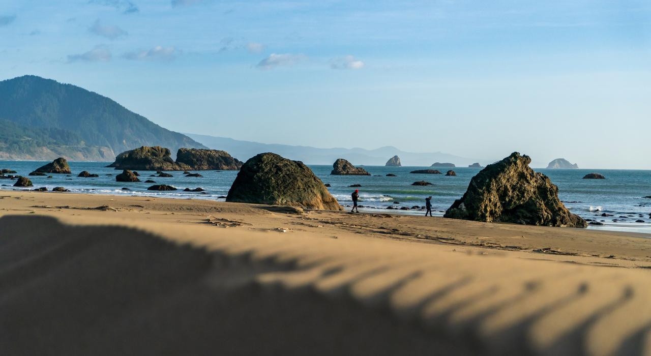 俄勒冈海岸边的战斗岩石公园 俄勒冈海岸边的战斗岩石公园