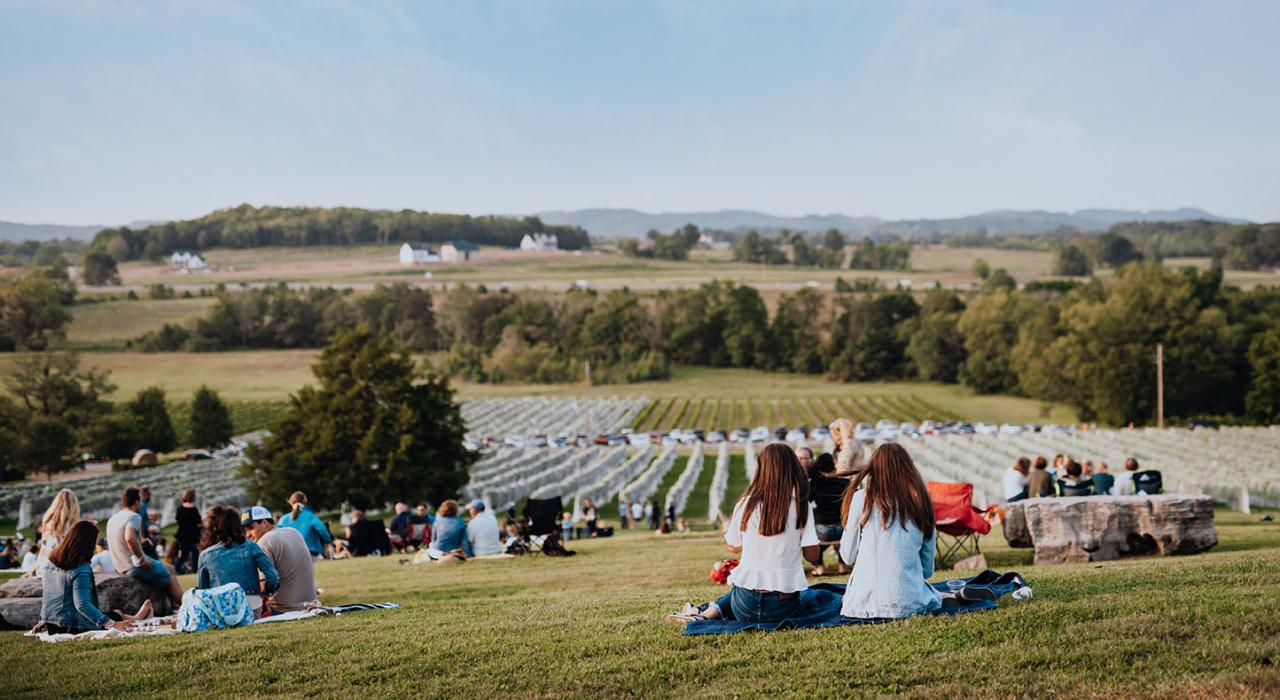 在风景如画的阿灵顿酒庄体验午后之旅 在风景如画的阿灵顿酒庄体验午后之旅