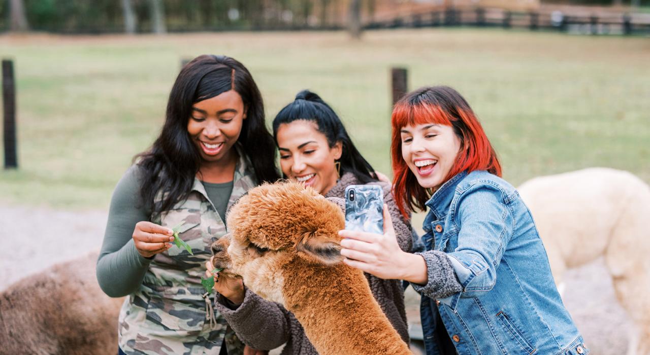 和弥溯农场热情友好的居民开心畅谈 和弥溯农场热情友好的居民开心畅谈