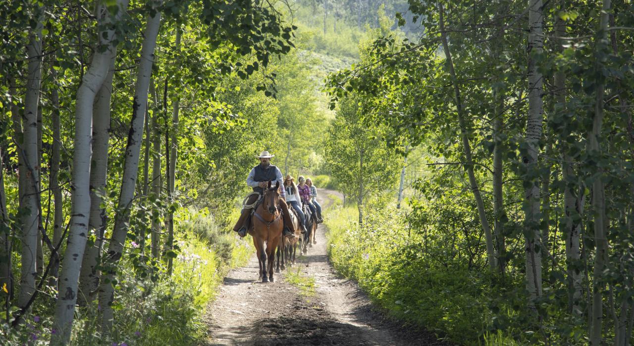 一队人在森林小径中体验马背观光