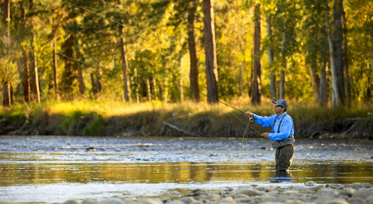 在蓝丝带奖获奖景点比特鲁特河玩飞蝇钓