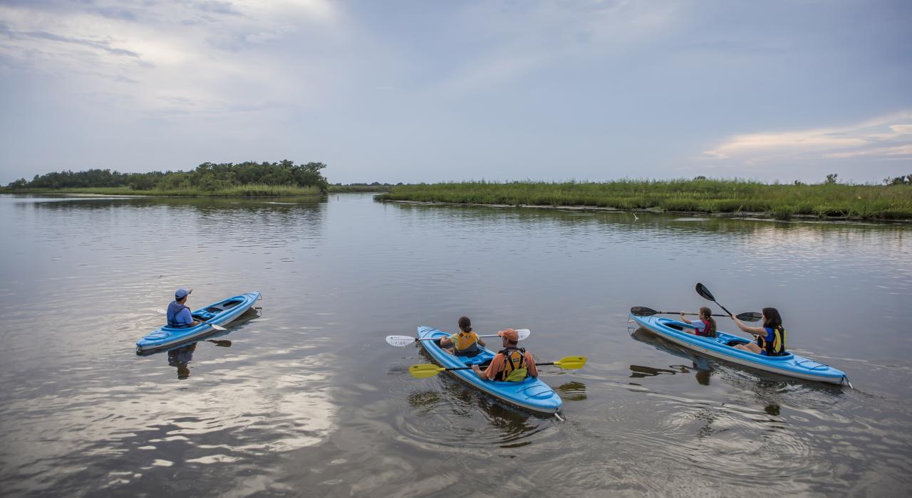 在阿拉巴马州的莫比尔河-滕索河三角洲划皮划艇的游人 在阿拉巴马州的莫比尔河-滕索河三角洲划皮划艇的游人