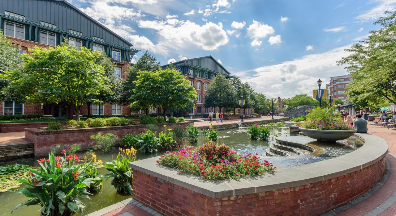 马里兰州弗雷德里克市中心卡罗尔河公园周围鲜花盛开 马里兰州弗雷德里克市中心卡罗尔河公园周围鲜花盛开