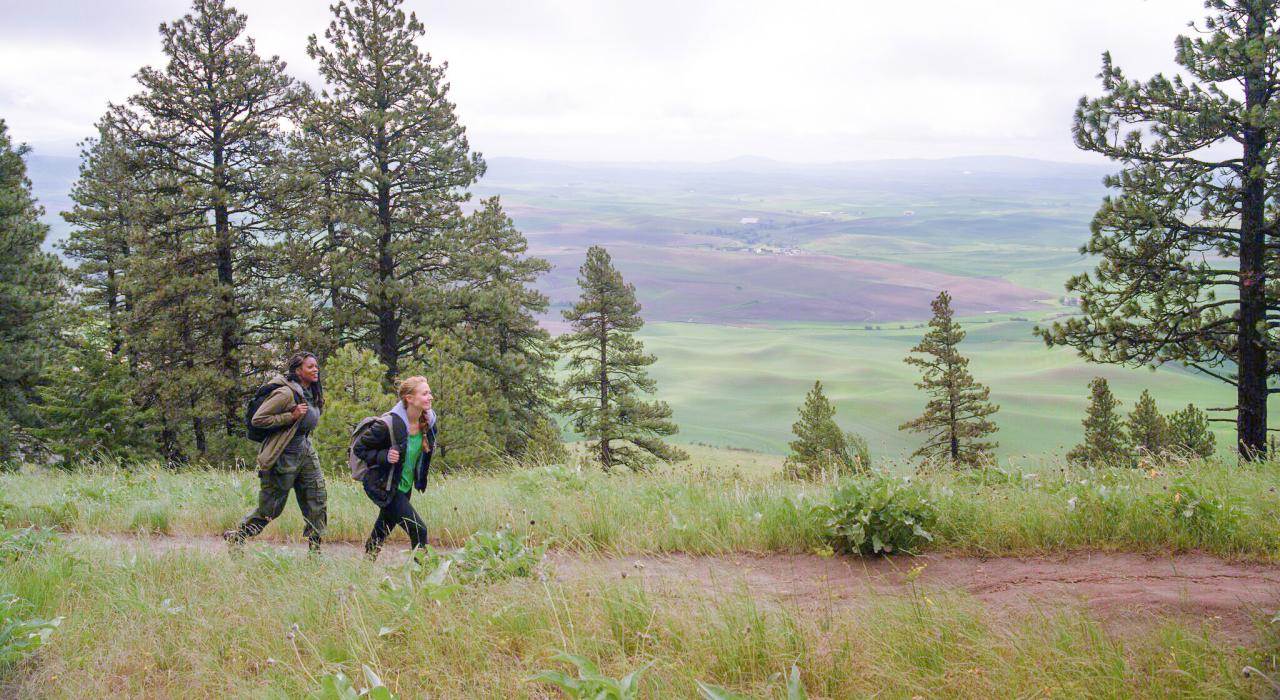 登上爱达荷州莫斯科附近的 Kamiak Butte 顶峰