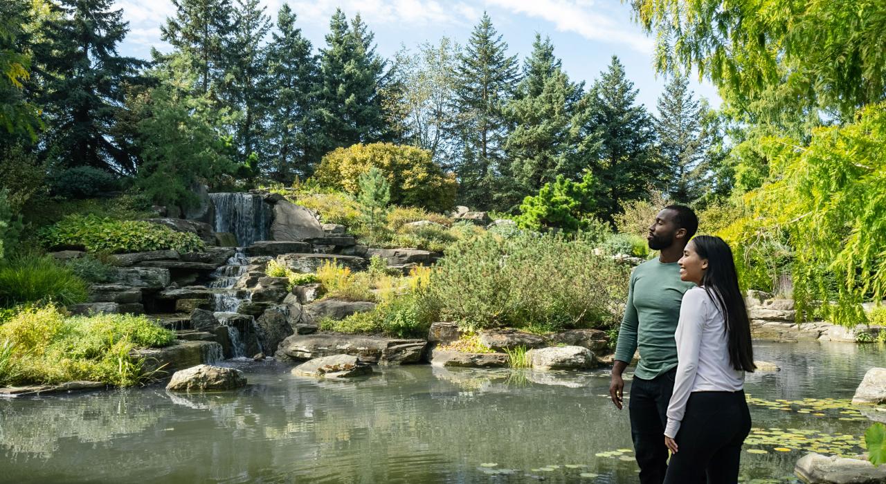 探索大急流城的弗雷德里克•梅耶尔花园及雕塑公园 探索大急流城的弗雷德里克•梅耶尔花园及雕塑公园