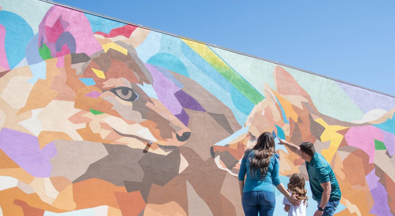 欣赏城市中充满活力的壁画 欣赏城市中充满活力的壁画