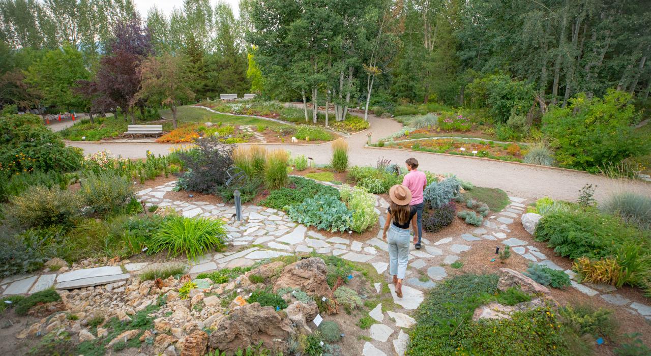 在扬帕河植物园欣赏斑斓草木 在扬帕河植物园欣赏斑斓草木