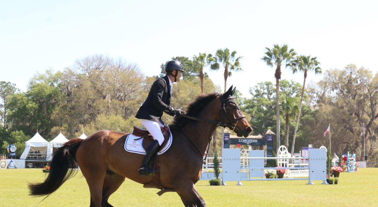 一位骑师和一匹马正在参加一年一度的 Live Oak International 国际马术比赛 一位骑师和一匹马正在参加一年一度的 Live Oak International 国际马术比赛