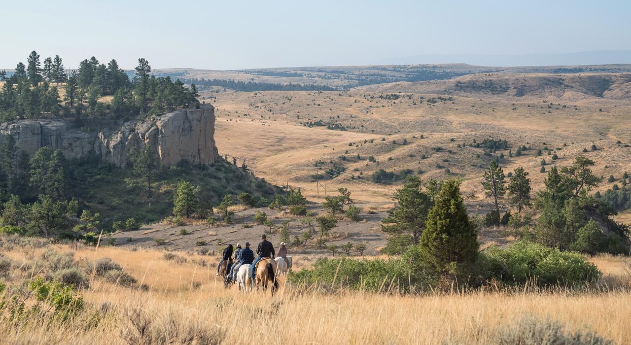 在导游陪同下骑马领略蒙大拿州比林斯周边美景 在导游陪同下骑马领略蒙大拿州比林斯周边美景