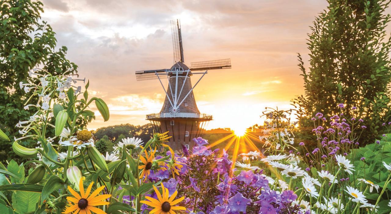 荷兰风车岛花园的多彩景色 荷兰风车岛花园的多彩景色