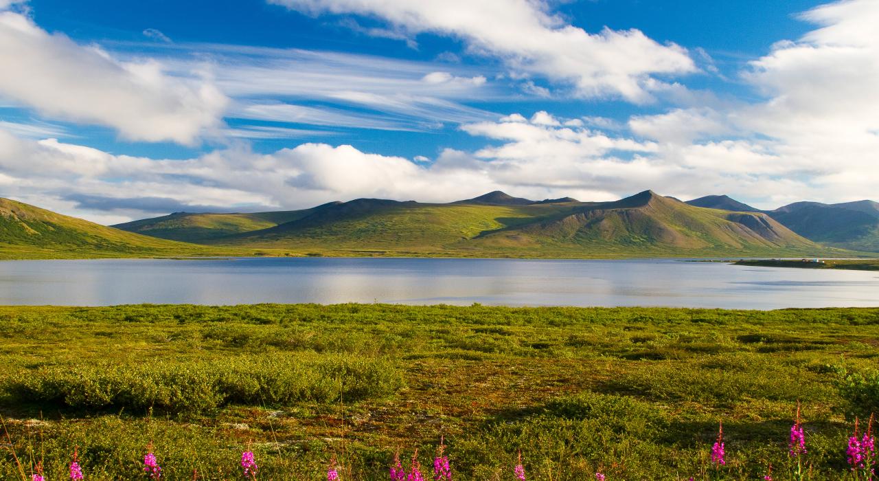 五彩缤纷的夏日山景 五彩缤纷的夏日山景