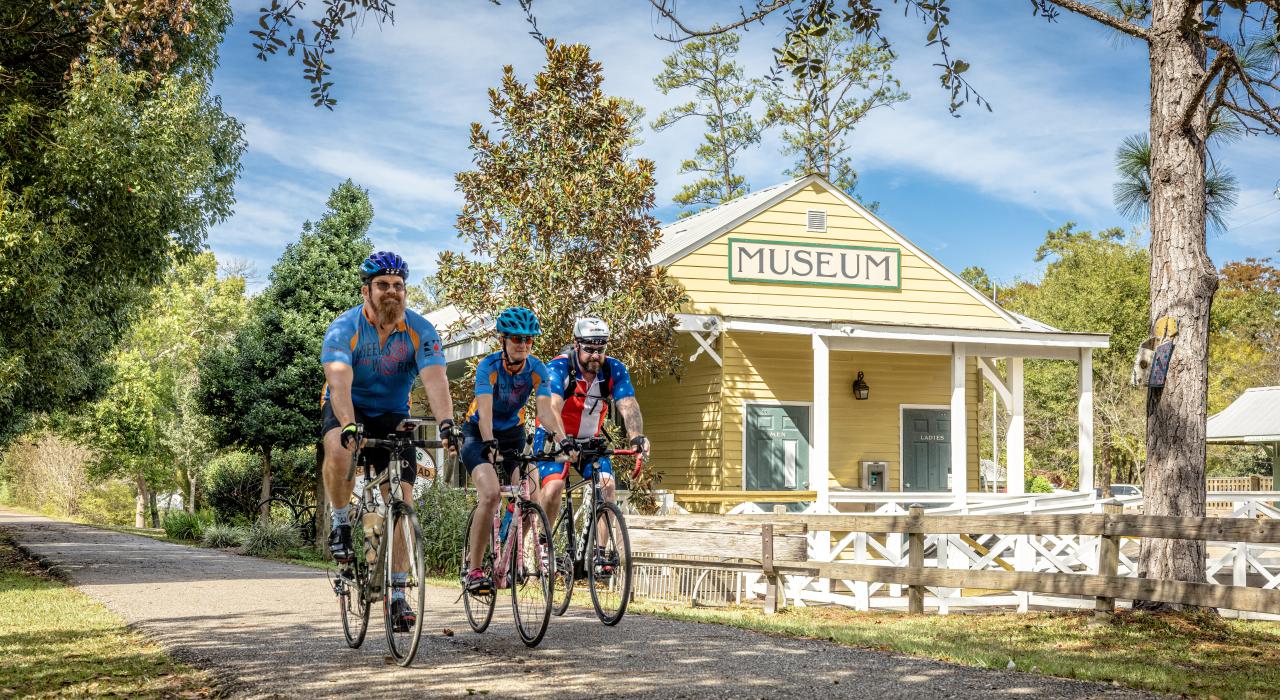 在坦慕尼之路徒步和骑行小道上骑行 在坦慕尼之路徒步和骑行小道上骑行