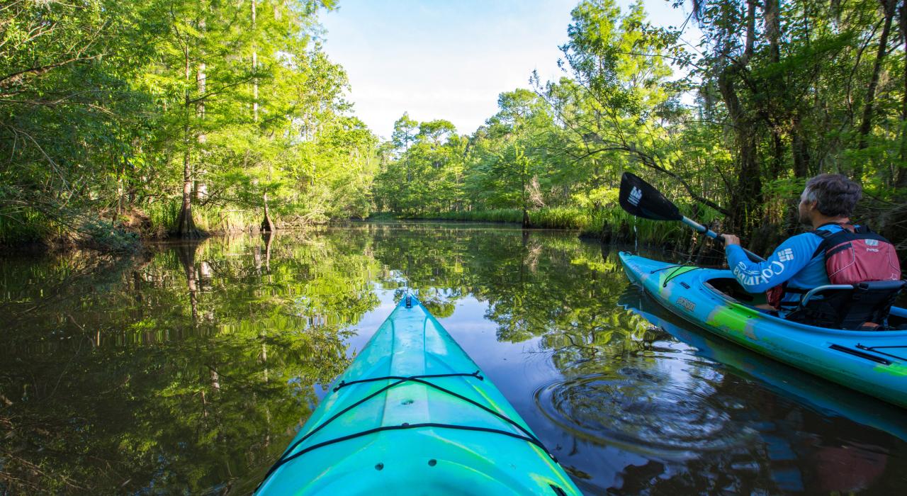 在风景秀丽的 Cane Bayou 河流中划皮划艇 在风景秀丽的 Cane Bayou 河流中划皮划艇