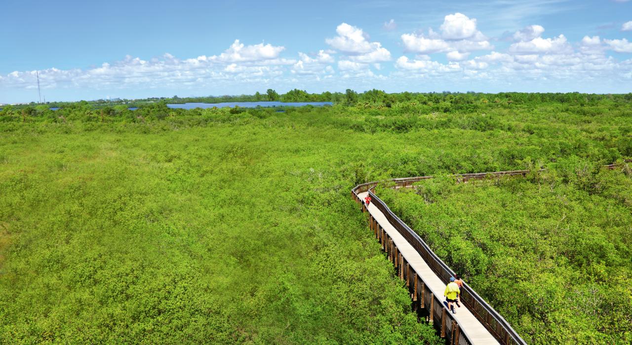 探索威登岛的木板步道 探索威登岛的木板步道