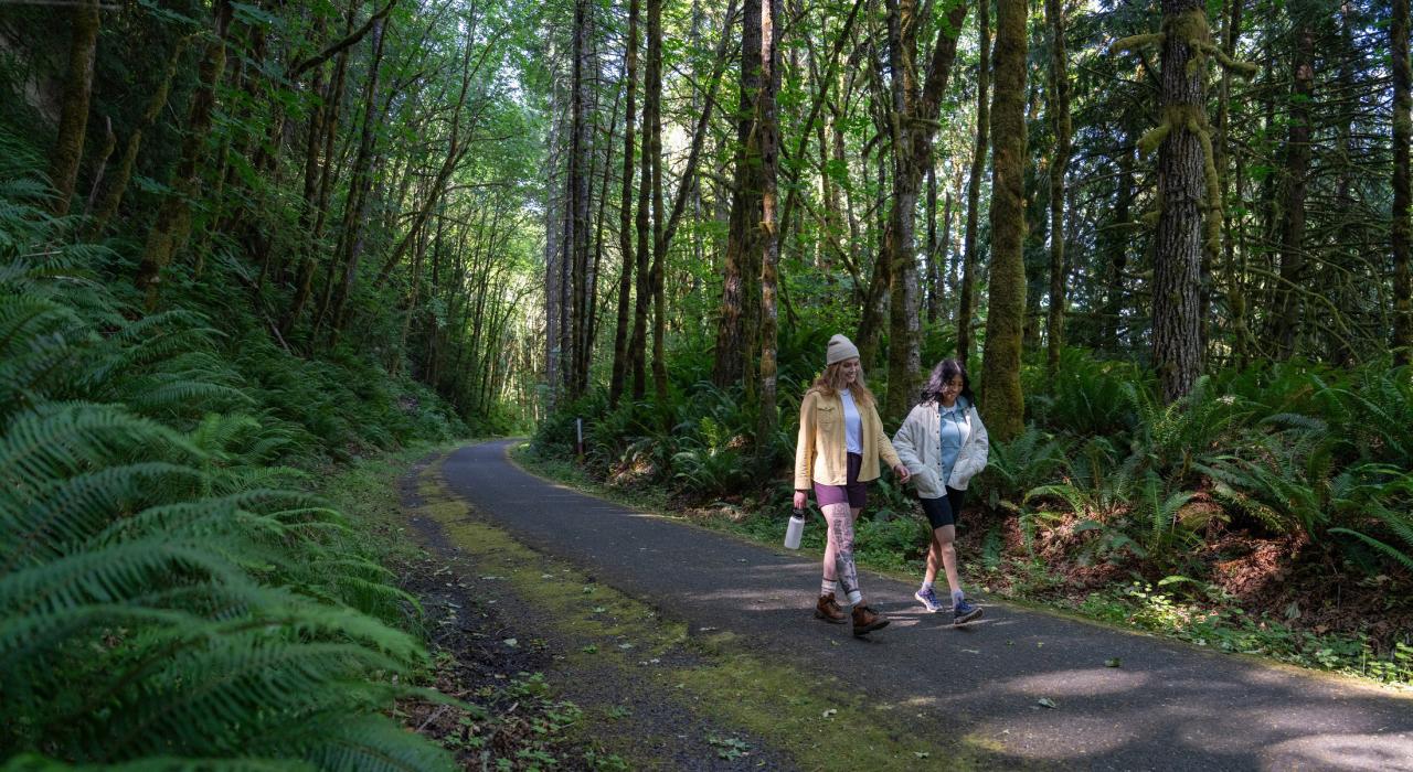 在巴克斯顿 L.L.Stub Stewart 州立公园宁静的林间小路上漫步