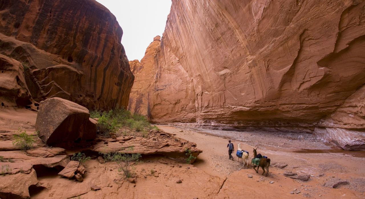 徒步探索犹他州圆顶礁国家公园的红岩地貌