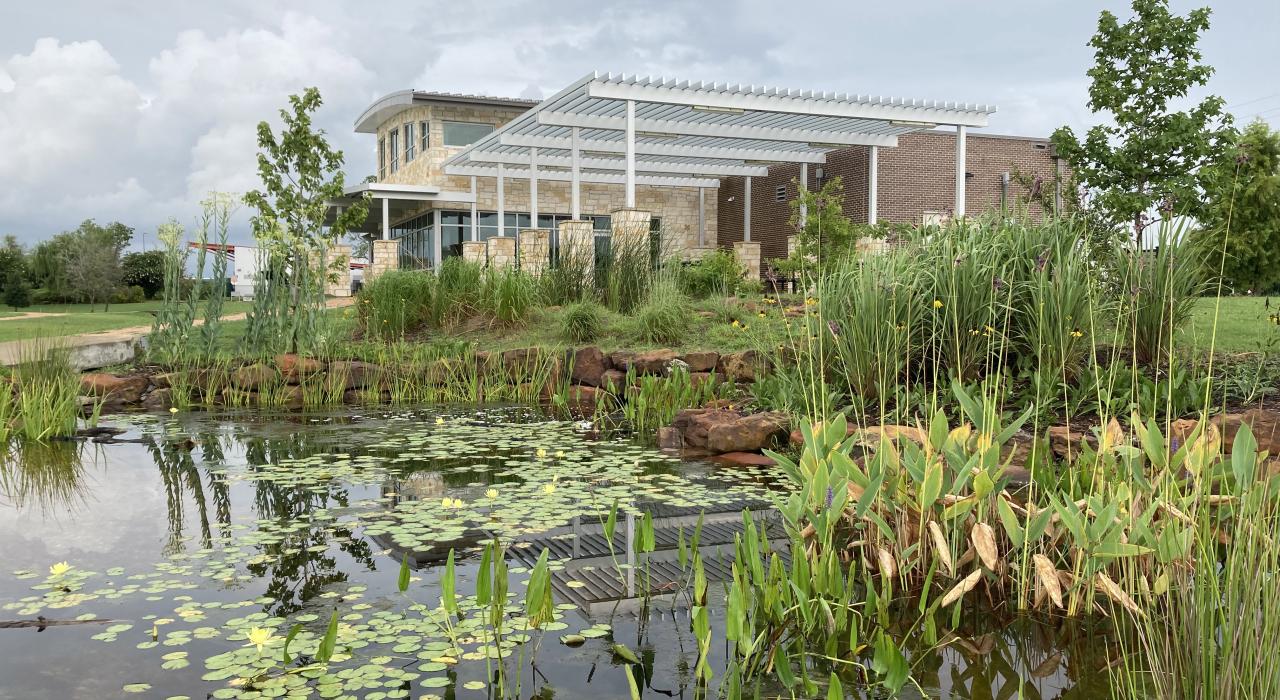 德克萨斯州皮尔兰 Delores Fenwick Nature Center 自然保护区外的沼泽景观 德克萨斯州皮尔兰 Delores Fenwick Nature Center 自然保护区外的沼泽景观