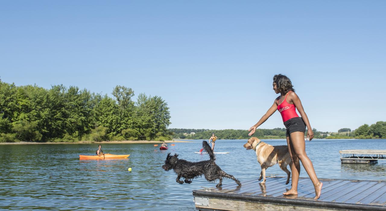 科多鲁斯州立公园 (Codorus State Park) 内马尔堡湖上的夏日意趣