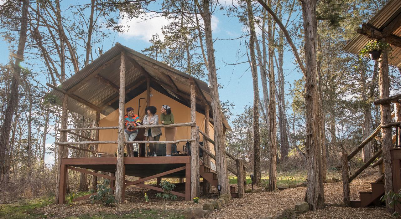 在城郊宁静的林地中豪华露营