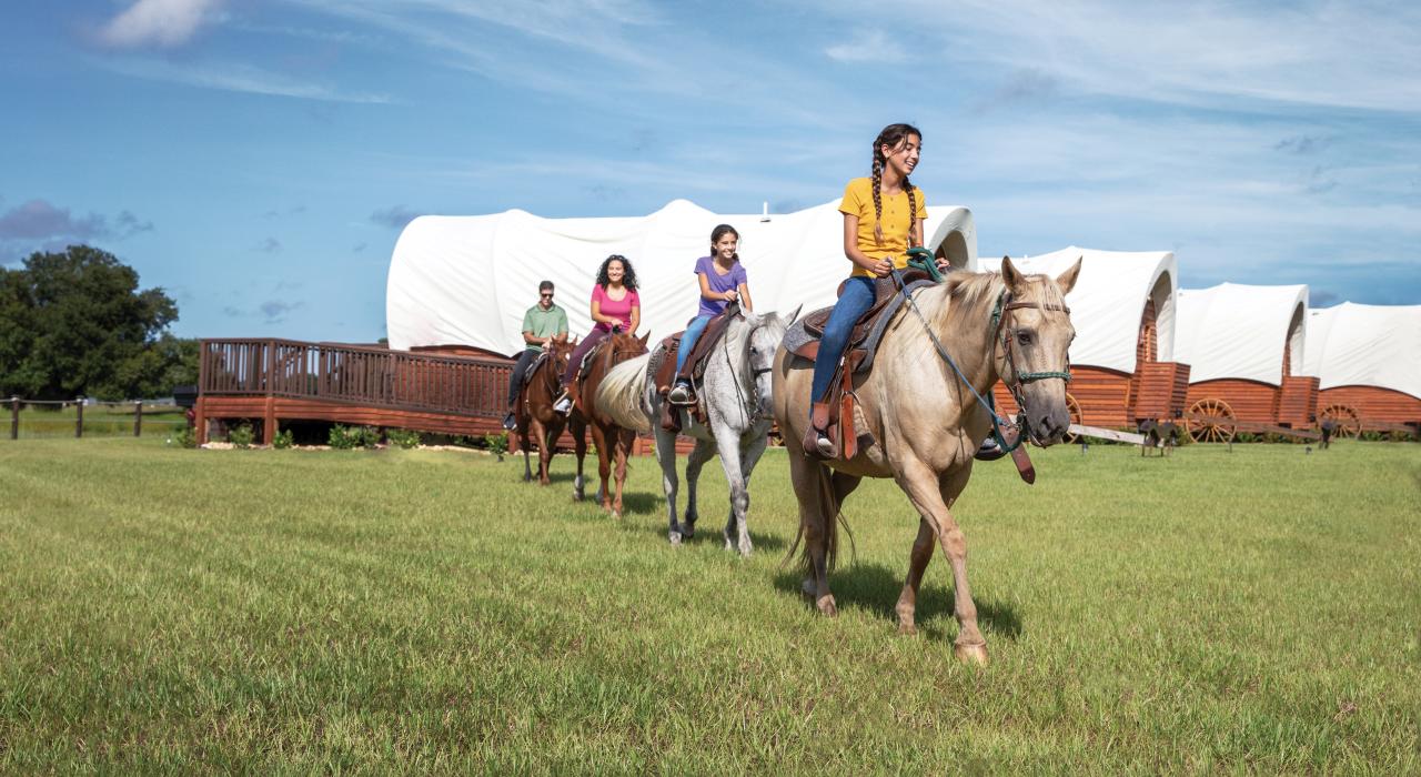 在马背上探索韦斯特盖特河牧场