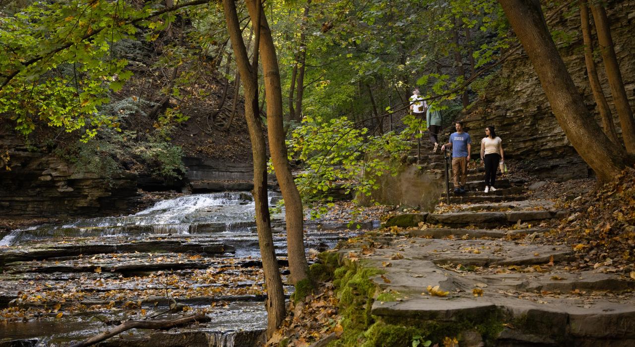 在纽约州伊萨卡的卡斯卡迪拉馆峡谷步道 (Cascadilla Gorge Trail) 徒步