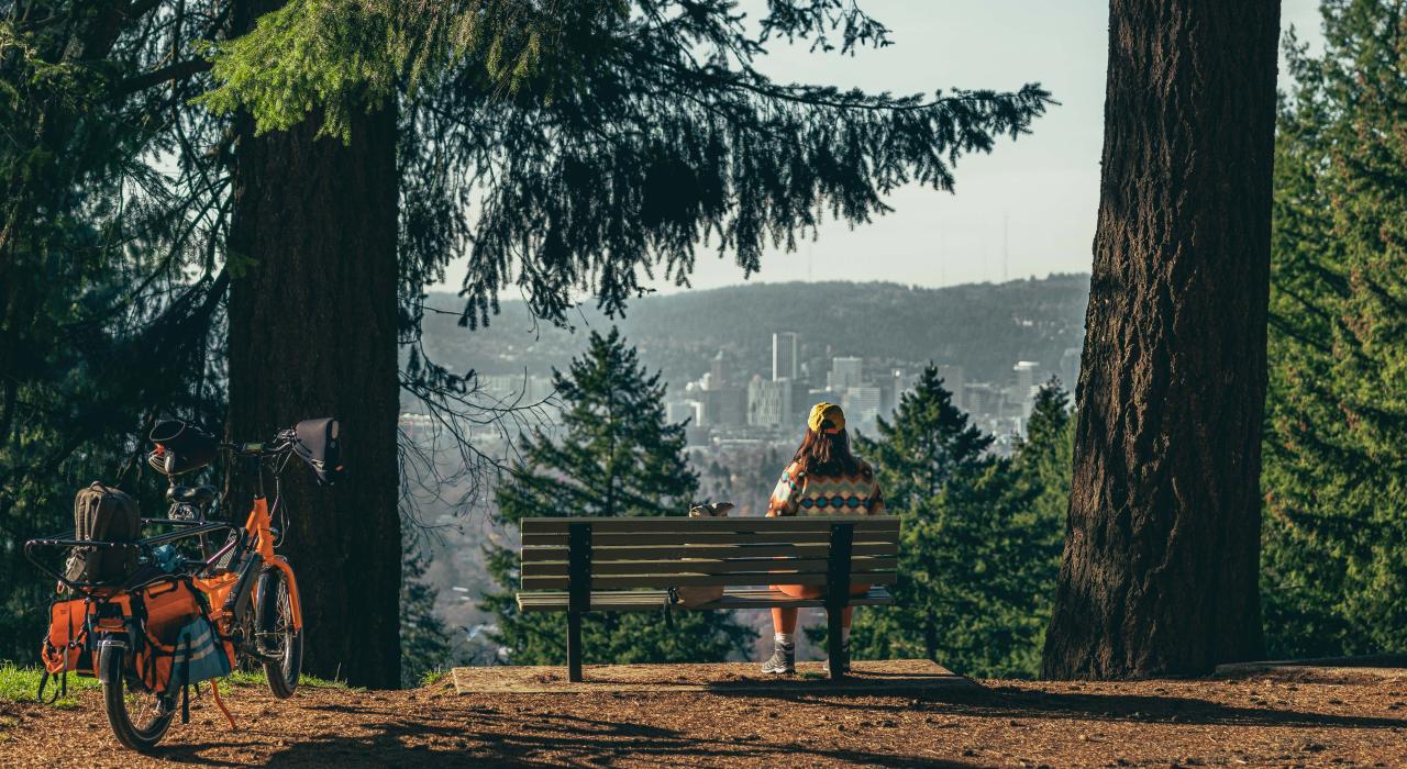 在塔布尔山公园纵览城市景观 在塔布尔山公园纵览城市景观