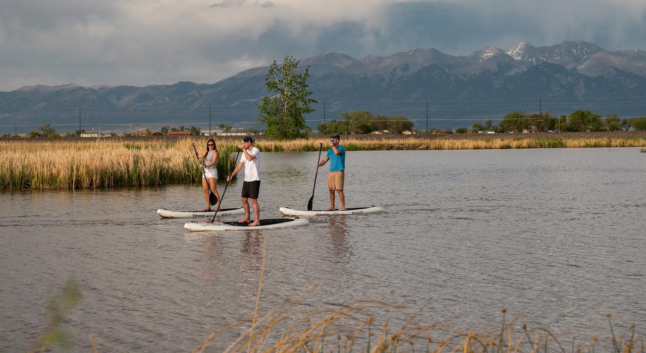 在 Blanca Vista Park 公园玩站立桨板冲浪 在 Blanca Vista Park 公园玩站立桨板冲浪