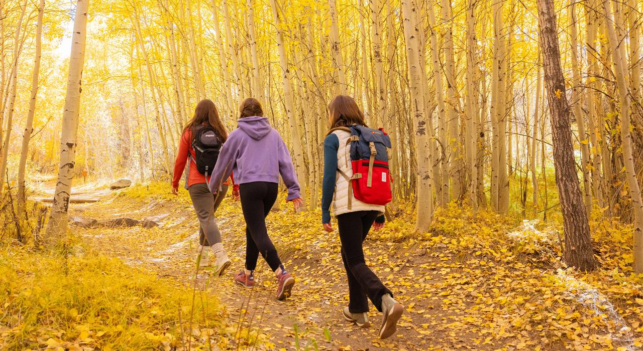 沿着风景优美的莫斯卡山口小径徒步旅行 沿着风景优美的莫斯卡山口小径徒步旅行