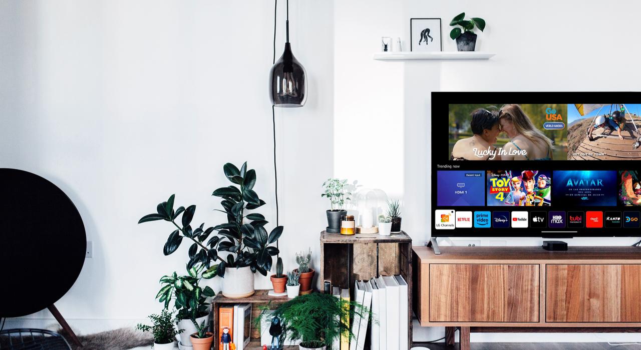 客厅配有电视，播放 GoUSA TV 节目