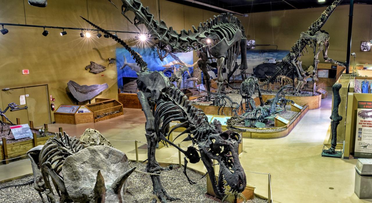 怀俄明州恐龙中心展示的令人震撼的恐龙标本