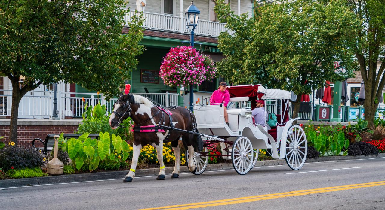 乘坐马车游览小镇
