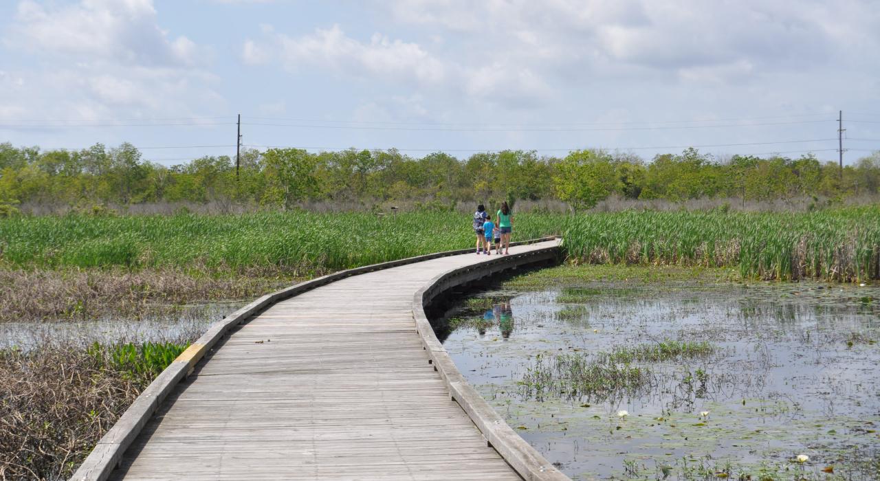 探索位于路易斯安那州贝尔市卡梅隆牧场国家野生动物保护区 (Cameron Prairie National Wildlife Refuge) 内的木板路 探索位于路易斯安那州贝尔市卡梅隆牧场国家野生动物保护区 (Cameron Prairie National Wildlife Refuge) 内的木板路