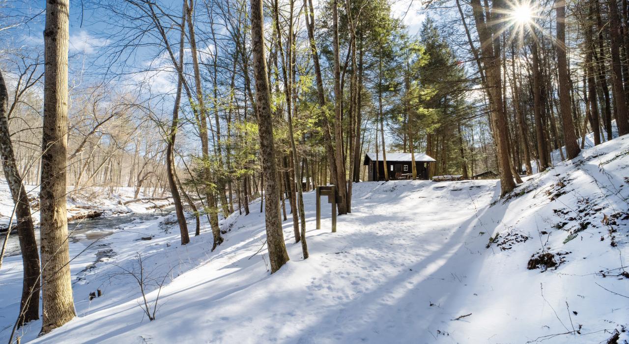 罗伯特·H·特里曼州立公园的温馨小屋