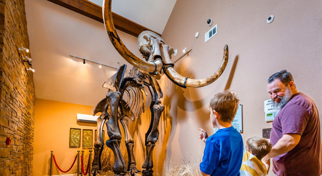 在美洲原住民历史博物馆欣赏一具高大的长毛猛犸象骨架