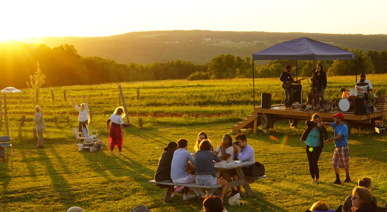 在南山苹果酒厂内品尝用当地苹果酿制的苹果酒，同时享受现场音乐的愉悦氛围